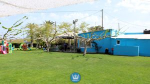 PlayCity Rethymno - Green grass